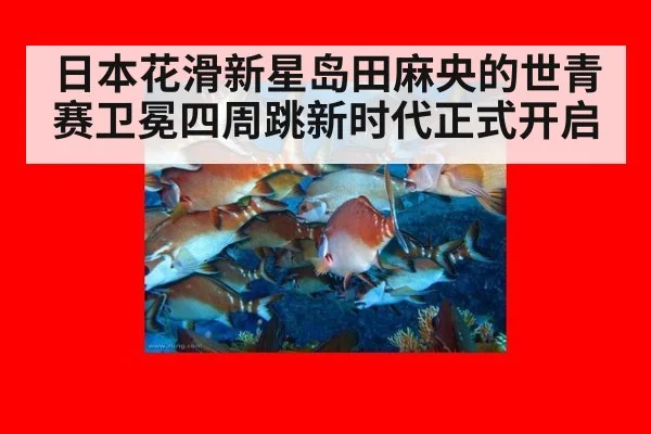 日本花滑新星岛田麻央的世青赛卫冕四周跳新时代正式开启